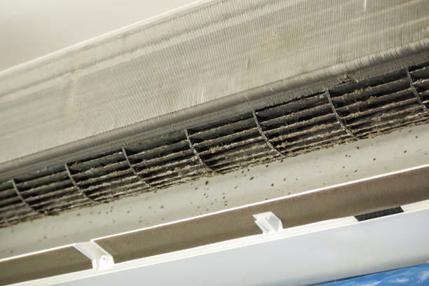 Best Air Duct Cleaning Near Me  in Encantada Ranchito El Calaboz, TX