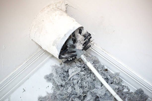 Best Affordable Air Duct Cleaning  in Encantada Ranchito El Calaboz, TX